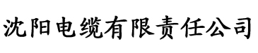 大香蕉在线成人电缆厂logo